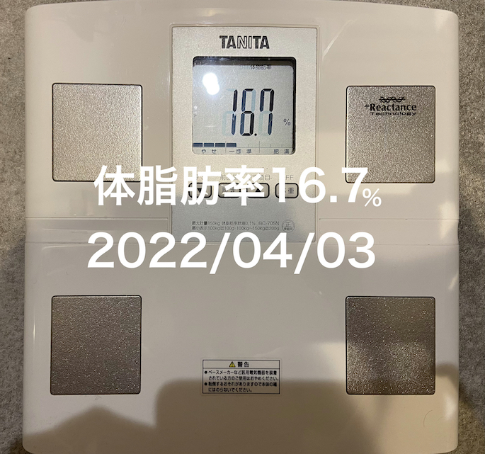 20220403体脂肪率