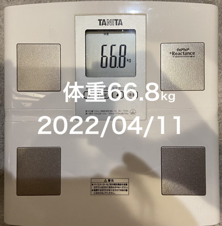 20220411体重