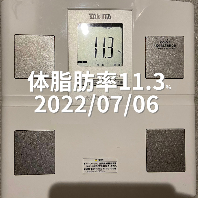 2022/07/06 体脂肪率