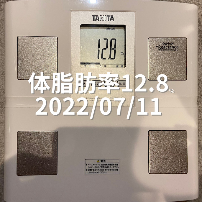 2022/07/11 体脂肪率