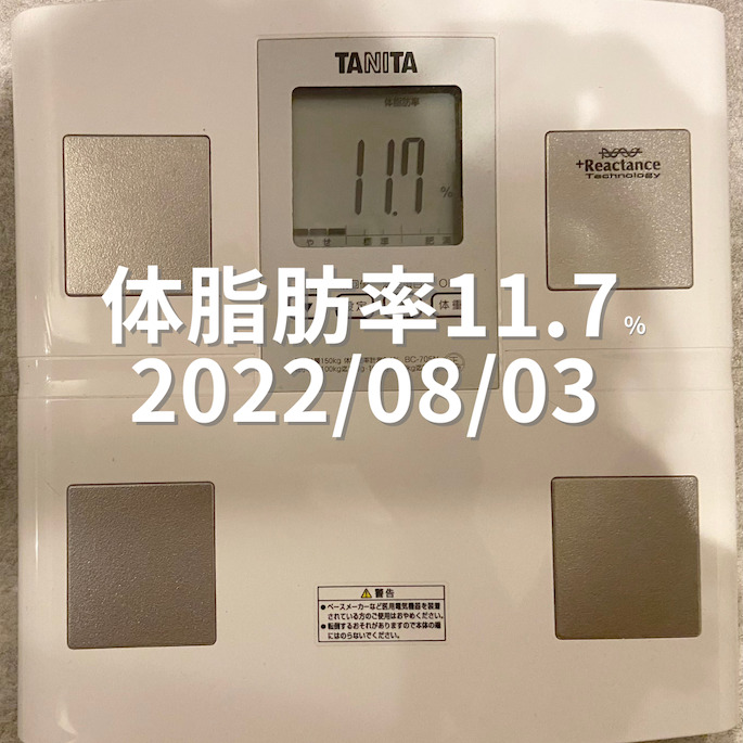 2022/08/03 体脂肪率