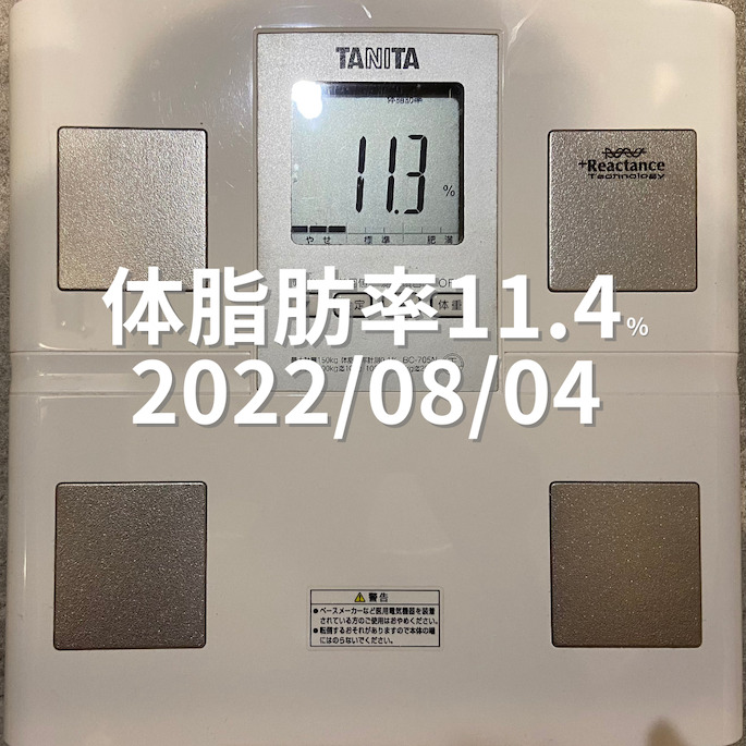 2022/08/04 体脂肪率