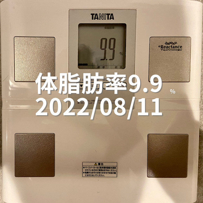 2022/08/11 体脂肪率