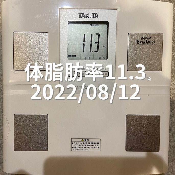 2022/08/12 体脂肪率