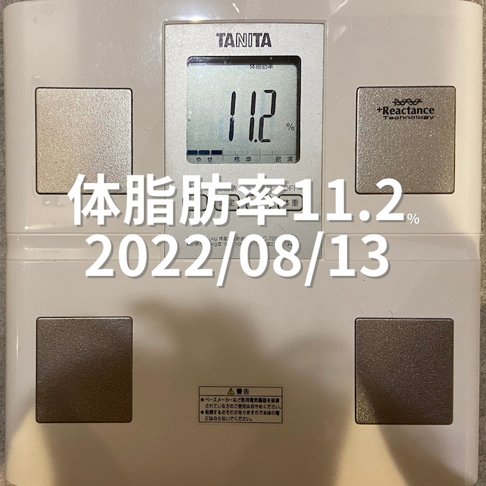 2022/08/13 体脂肪率