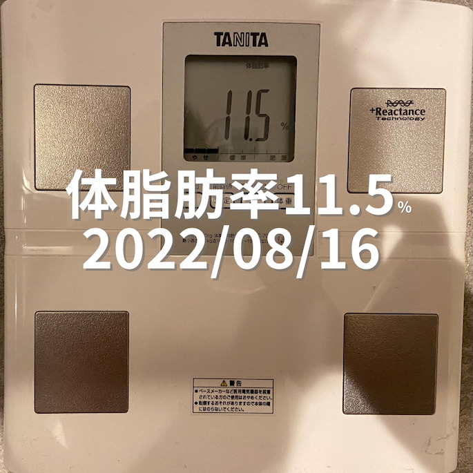 2022/08/16 体脂肪率