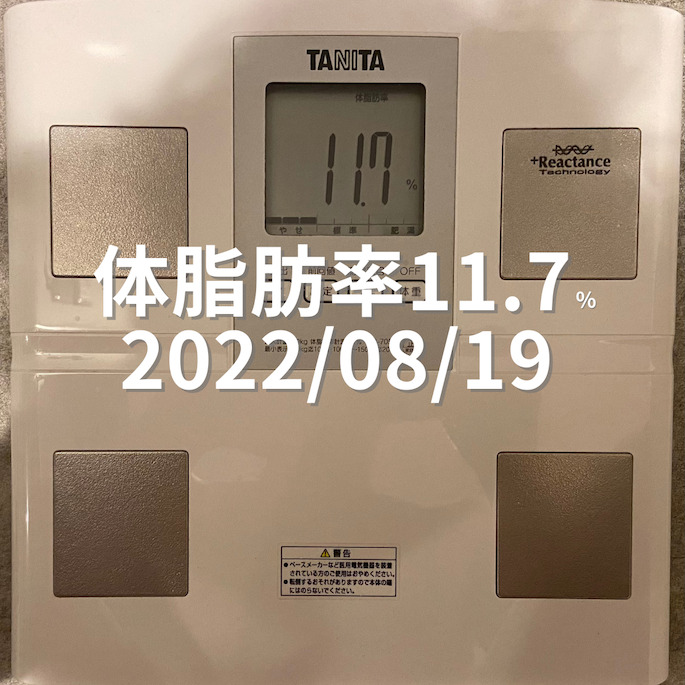 2022/08/19 体脂肪率