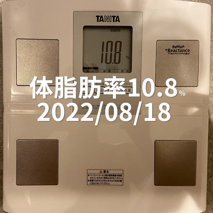 2022/08/18 体脂肪率