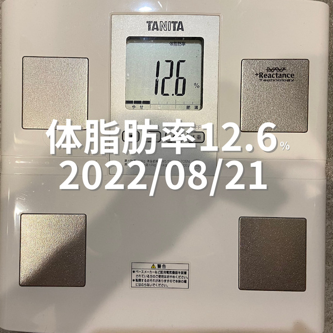 2022/08/21 体脂肪率