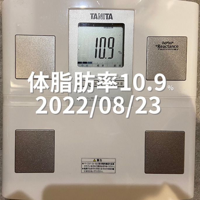 2022/08/23 体脂肪率