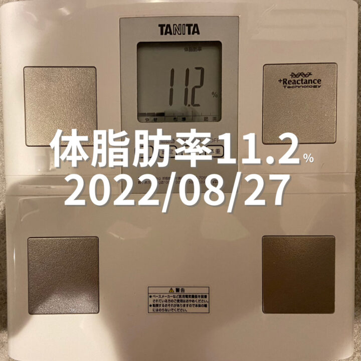 2022/08/27 体脂肪率