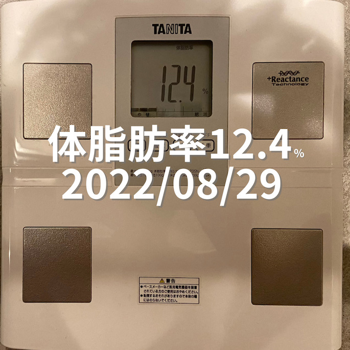2022/08/29 体脂肪率