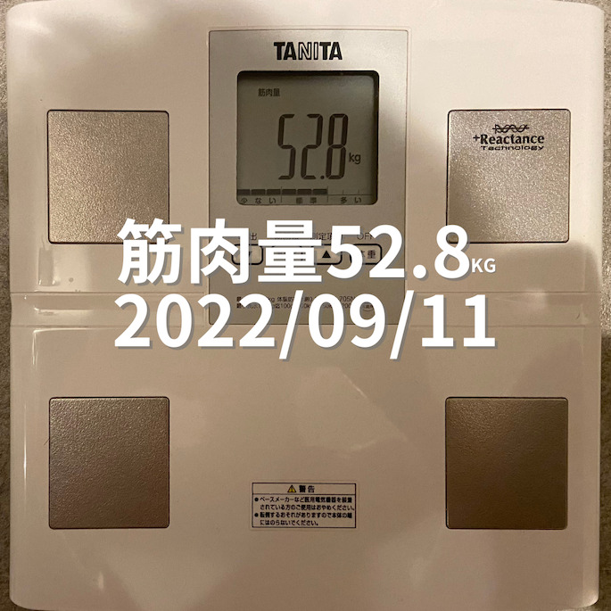 2022/09/11 筋肉量