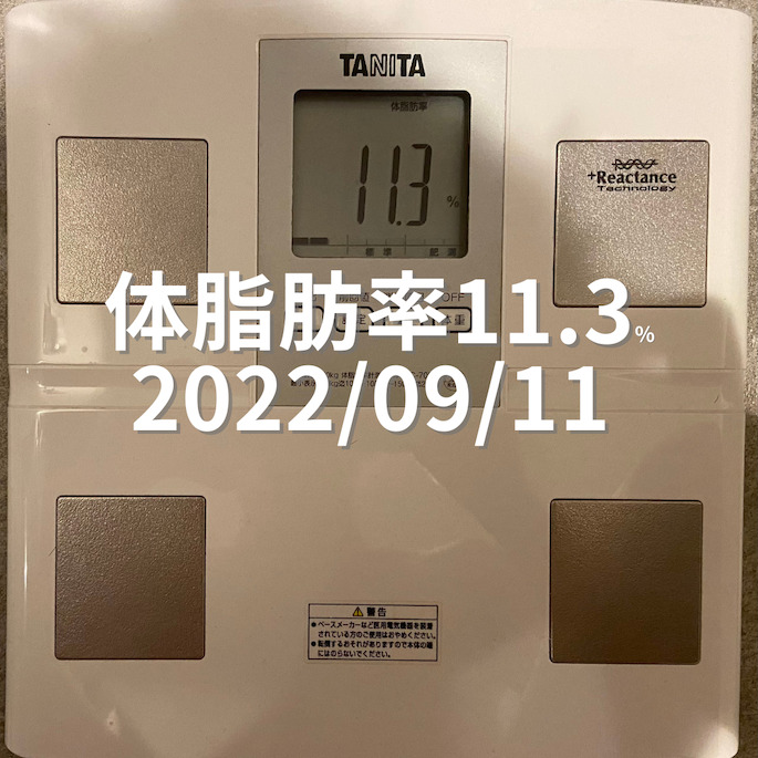 2022/09/11 体脂肪率