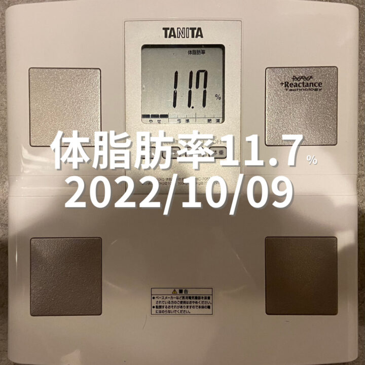 2022/10/09 体脂肪率