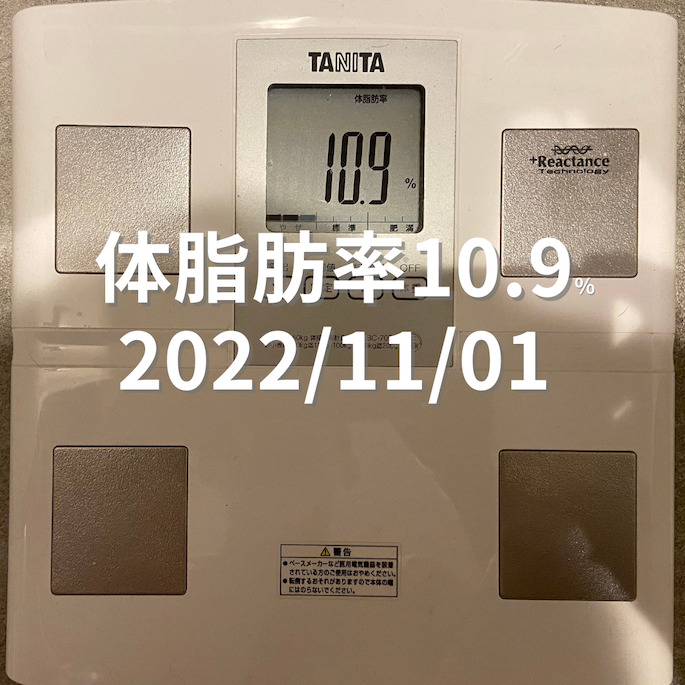 2022/11/01 体脂肪率