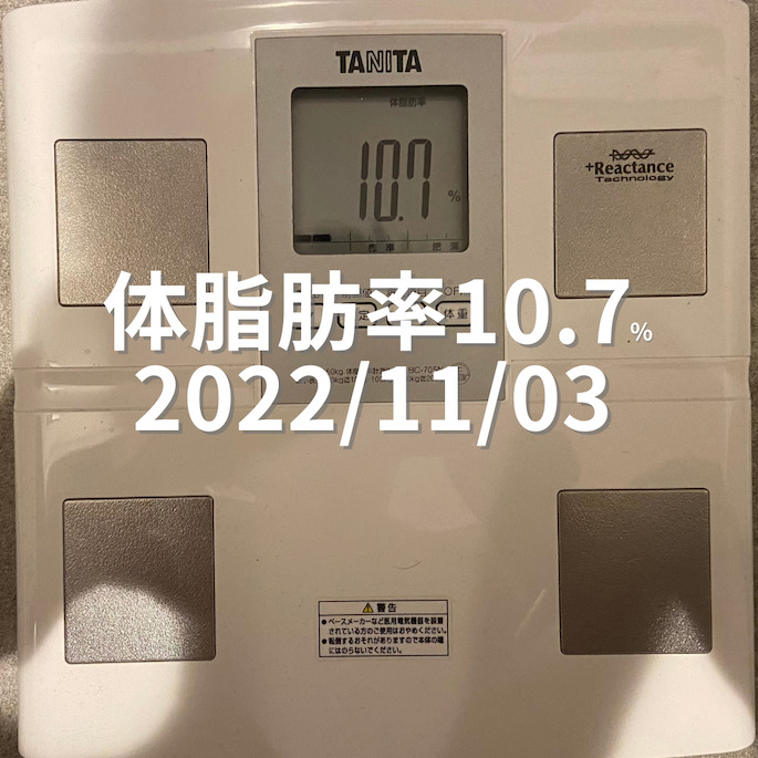 2022/11/03 体脂肪率