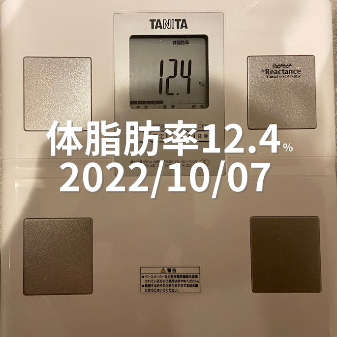 2022/11/07 体脂肪率