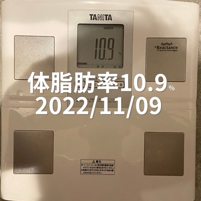2022/11/09 体脂肪率