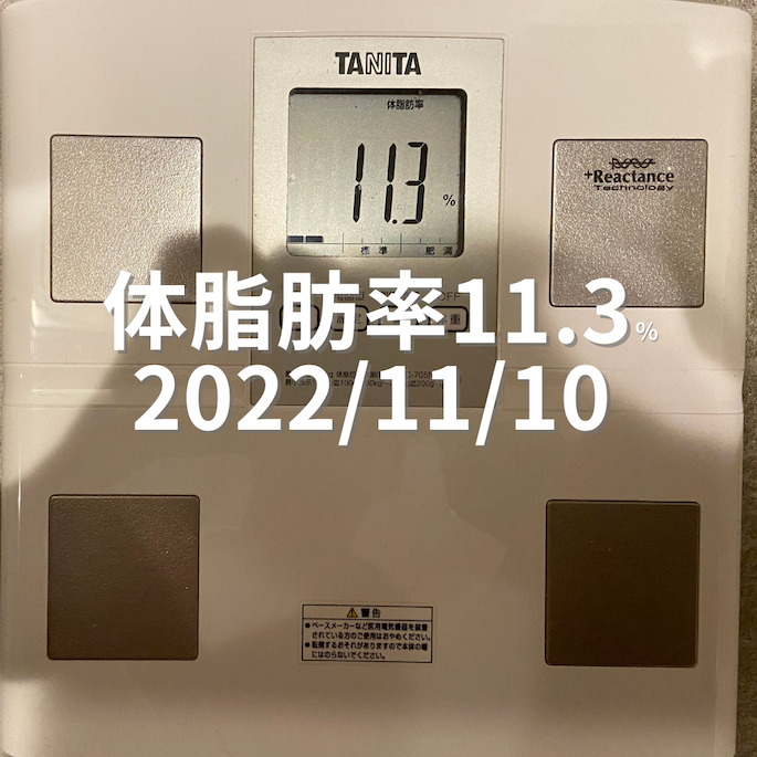 2022/11/10 体脂肪率
