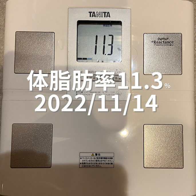 2022/11/14 体脂肪率