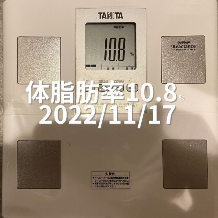 2022/11/17 体脂肪率