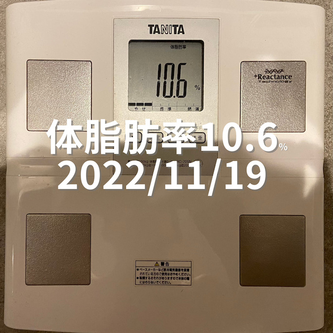 2022/11/19 体脂肪率