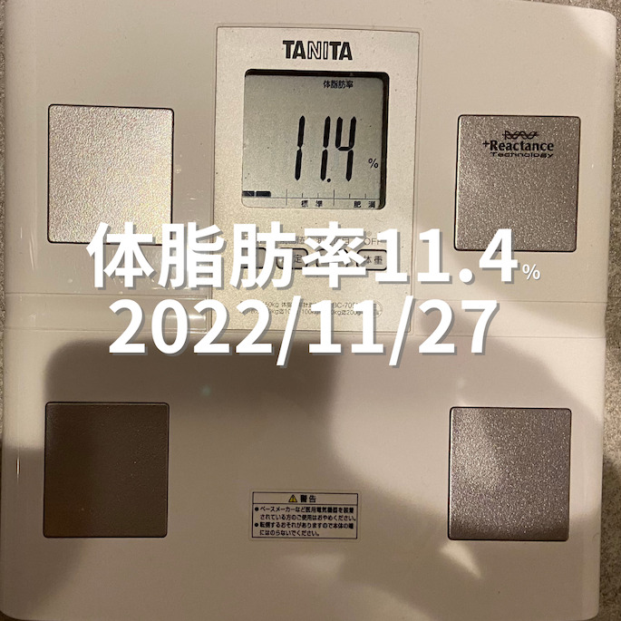 2022/11/27 体脂肪率