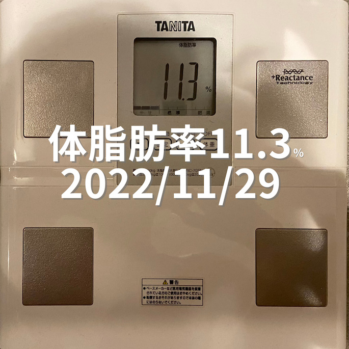 2022/11/29 体脂肪率