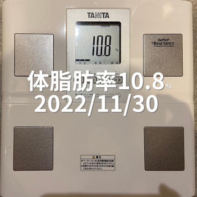 2022/11/30 体脂肪率