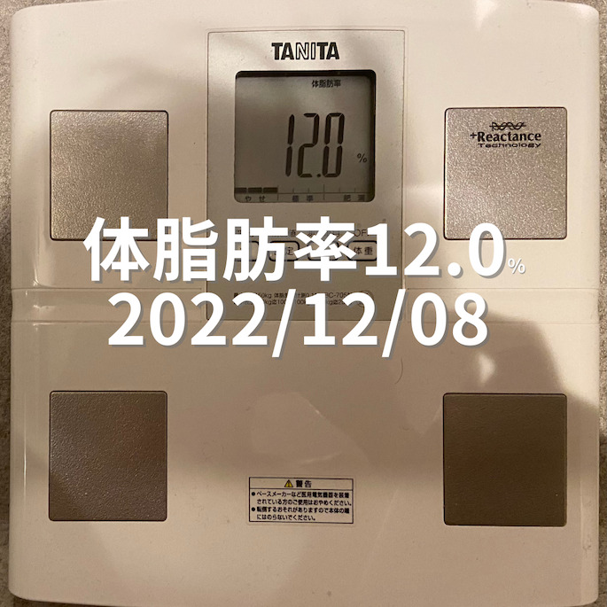 2022/12/08 体脂肪率