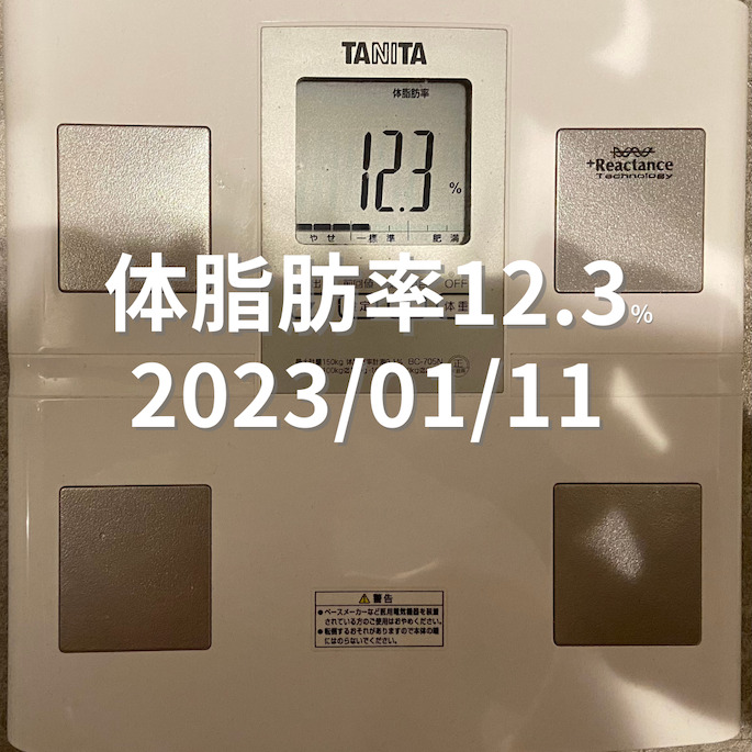 2023/01/11 体脂肪率